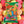GUDIZ Bolitas dulces de maiz  (Pack of 12)