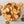 Galletas de Chocolate rellenas de crema Festival NOEL (14.2 oz)